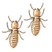 termites_6